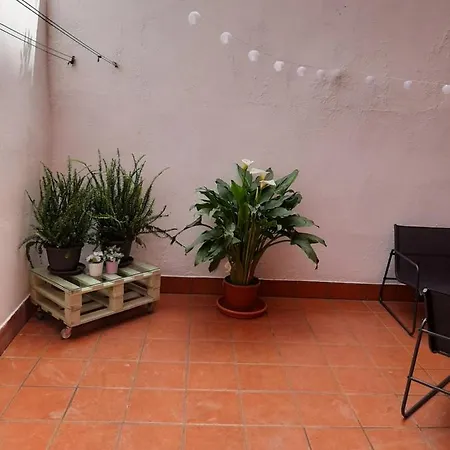 El Neru. En Zona Verde Y Junto Al Mar. Apartment *
